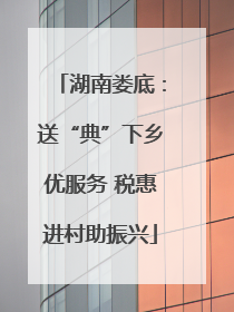 湖南娄底：送“典”下乡优服务 税惠进村助振兴
