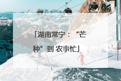 湖南常宁：“芒种”到 农事忙