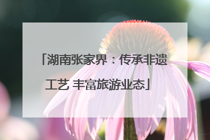湖南张家界：传承非遗工艺 丰富旅游业态