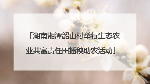 湖南湘潭韶山村举行生态农业共富责任田插秧助农活动