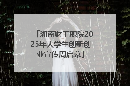 湖南财工职院2025年大学生创新创业宣传周启幕