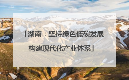 湖南：坚持绿色低碳发展 构建现代化产业体系