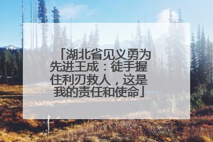 湖北省见义勇为先进王成：徒手握住利刃救人，这是我的责任和使命