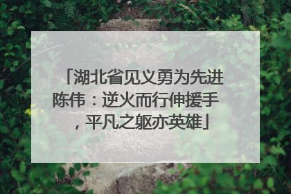 湖北省见义勇为先进陈伟：逆火而行伸援手，平凡之躯亦英雄