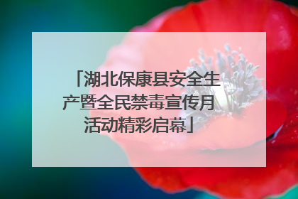 湖北保康县安全生产暨全民禁毒宣传月活动精彩启幕