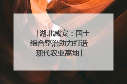 湖北咸安：国土综合整治助力打造现代农业高地
