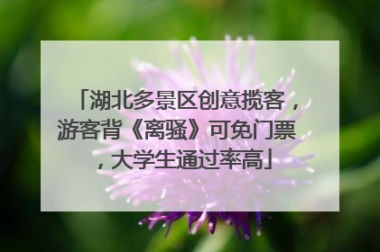 湖北多景区创意揽客，游客背《离骚》可免门票，大学生通过率高