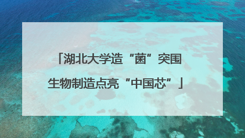 湖北大学造“菌”突围 生物制造点亮“中国芯”