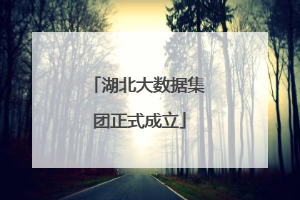 湖北大数据集团正式成立
