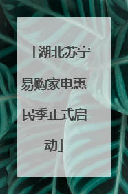 湖北苏宁易购家电惠民季正式启动