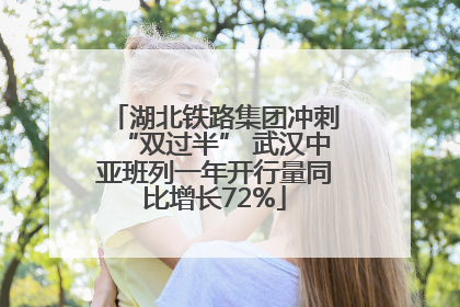 湖北铁路集团冲刺“双过半” 武汉中亚班列一年开行量同比增长72%
