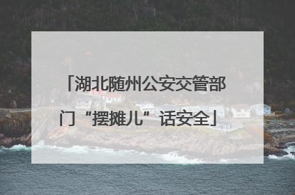 湖北随州公安交管部门“摆摊儿”话安全