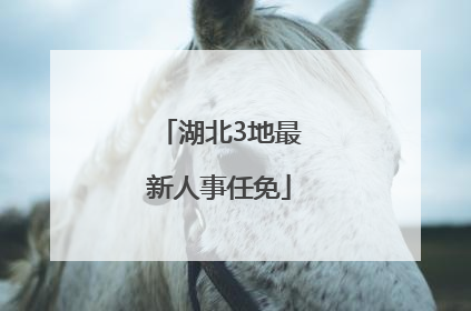 湖北3地最新人事任免
