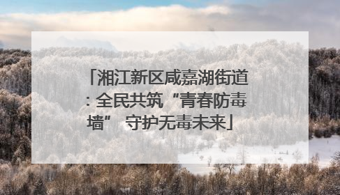 湘江新区咸嘉湖街道：全民共筑“青春防毒墙” 守护无毒未来