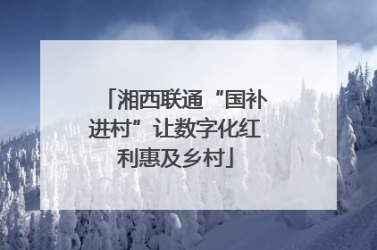湘西联通“国补进村”让数字化红利惠及乡村