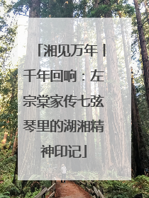 湘见万年丨千年回响：左宗棠家传七弦琴里的湖湘精神印记