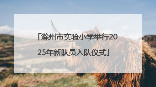 滁州市实验小学举行2025年新队员入队仪式