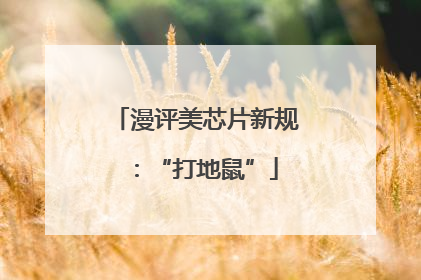 漫评美芯片新规：“打地鼠”