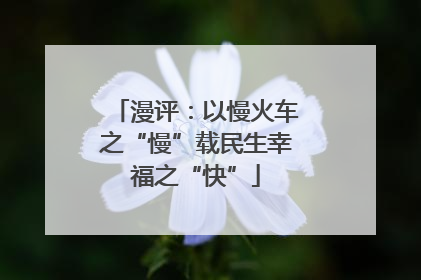 漫评：以慢火车之“慢”载民生幸福之“快”