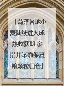 菏泽各地小麦陆续进入成熟收获期 多措并举确保夏粮颗粒归仓