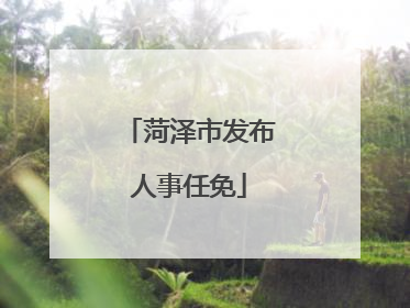 菏泽市发布人事任免