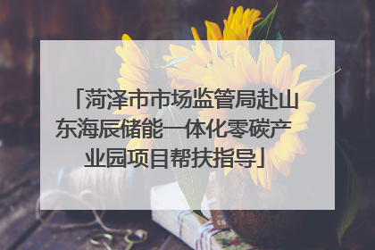 菏泽市市场监管局赴山东海辰储能一体化零碳产业园项目帮扶指导
