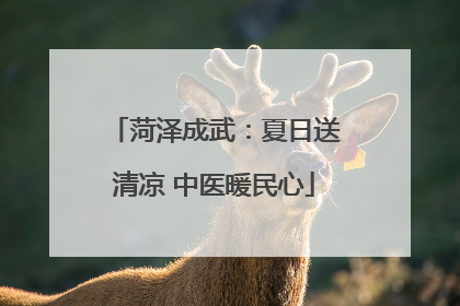 菏泽成武：夏日送清凉 中医暖民心