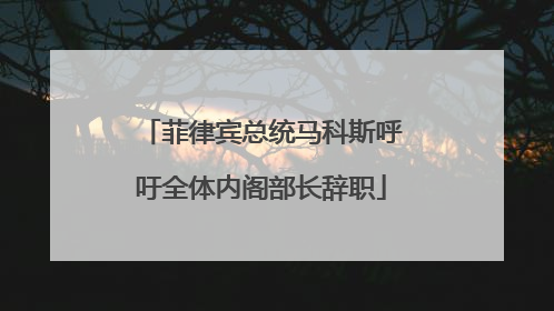 菲律宾总统马科斯呼吁全体内阁部长辞职
