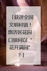 获评全国文明村镇！惠济区花园口镇何以“花开满园”？