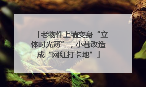 老物件上墙变身“立体时光簿”，小巷改造成“网红打卡地”