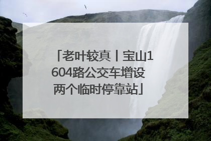 老叶较真丨宝山1604路公交车增设两个临时停靠站