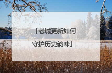 老城更新如何守护历史韵味