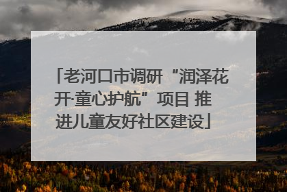 老河口市调研“润泽花开·童心护航”项目 推进儿童友好社区建设