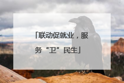 联动促就业，服务“卫”民生