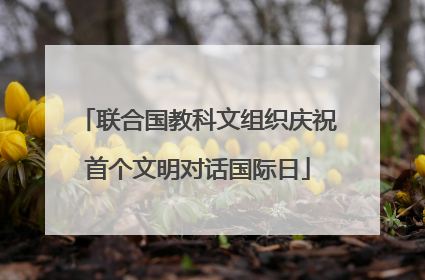 联合国教科文组织庆祝首个文明对话国际日