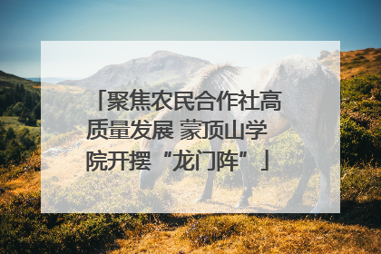 聚焦农民合作社高质量发展 蒙顶山学院开摆“龙门阵”