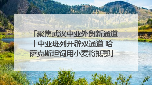 聚焦武汉中亚外贸新通道│中亚班列开辟双通道 哈萨克斯坦饲用小麦将抵鄂