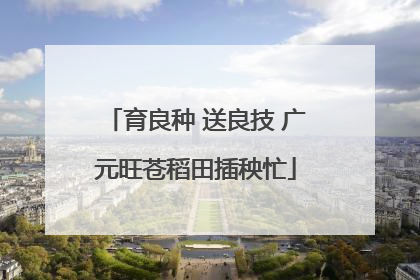 育良种 送良技 广元旺苍稻田插秧忙