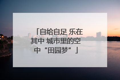 自给自足 乐在其中 城市里的空中“田园梦”