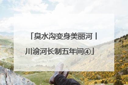 臭水沟变身美丽河丨川渝河长制五年间④