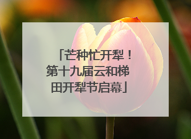 芒种忙开犁！第十九届云和梯田开犁节启幕