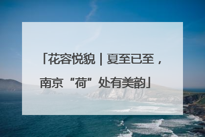 花容悦貌｜夏至已至，南京“荷”处有美韵