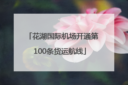 花湖国际机场开通第100条货运航线