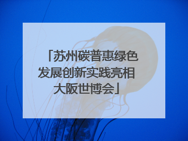 苏州碳普惠绿色发展创新实践亮相大阪世博会