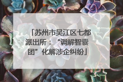 苏州市吴江区七都派出所：“调解智囊团”化解涉企纠纷