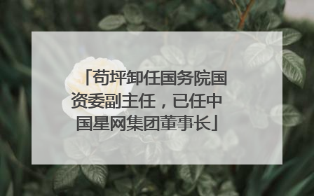 苟坪卸任国务院国资委副主任，已任中国星网集团董事长