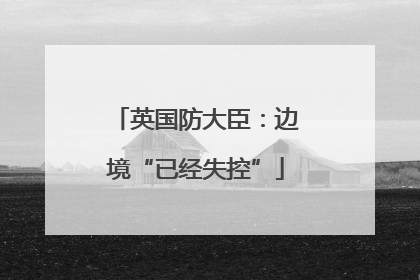 英国防大臣：边境“已经失控”