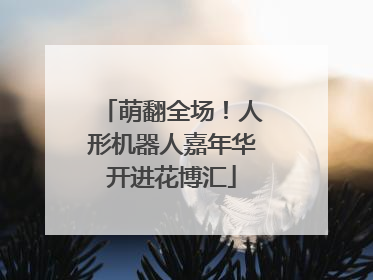 萌翻全场！人形机器人嘉年华开进花博汇