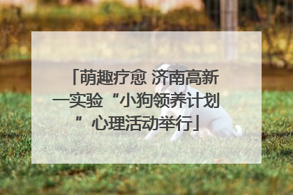 萌趣疗愈 济南高新一实验“小狗领养计划”心理活动举行
