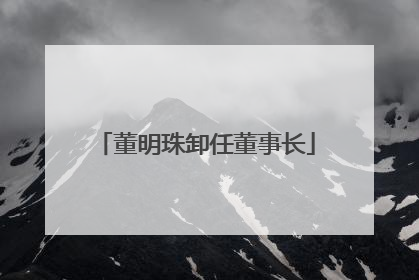 董明珠卸任董事长